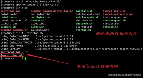 Linux环境下的四种软件安装方式及SpringBoot项目在云服务器上的部署指南